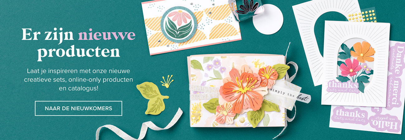 Dbws hmpg wnew nl 0126 jan product release